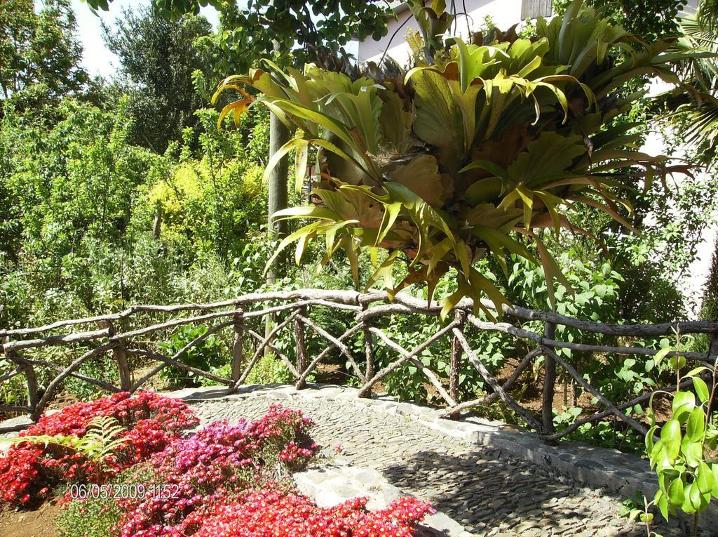 Casa Rosa Villa Camacha  Oda fotoğraf